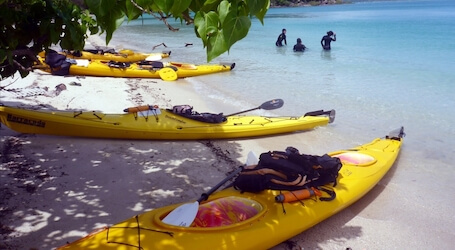 airlie beach kayaking bucks activity