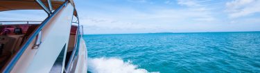 bucks on boat party cruise