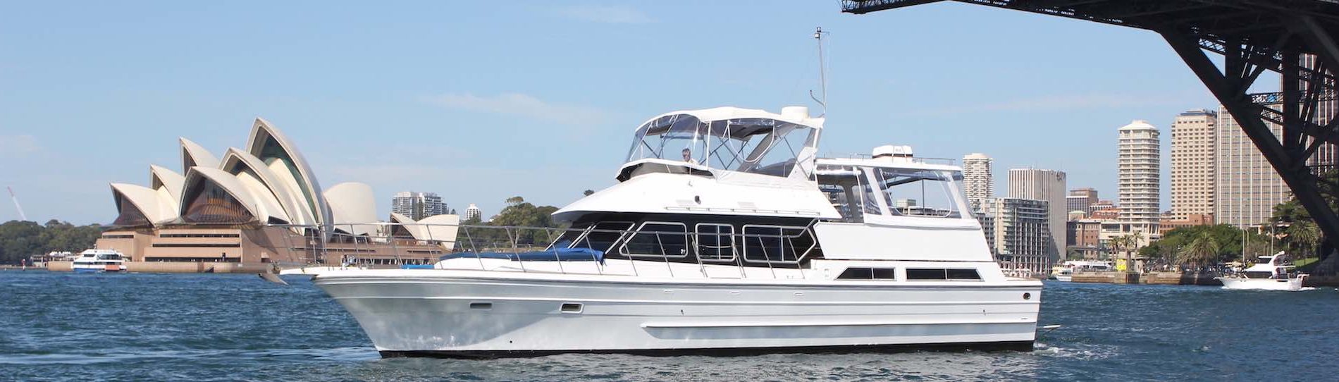 bucks sydney boat cruise