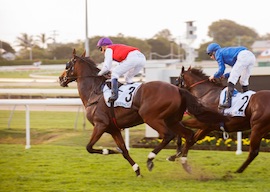 horses crossing the finish line at doomben raceway