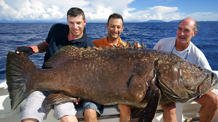 group of bucks holding a big grouper fish