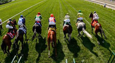 horses on racing on race track