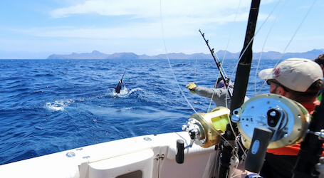 buck catching large fish in open water