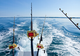 4 fishing rods off the back of a fishing charter