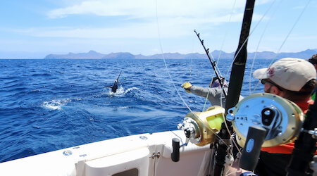 back of fishing boat with marlin on fishing line
