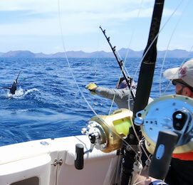 bucks with a big catch off the back of fishing boat