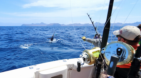 group of bucks on fishing trip