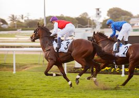 horses racing at race track