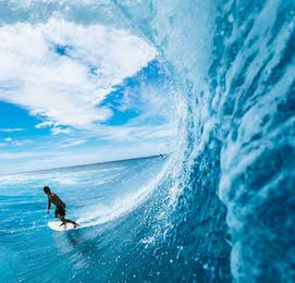 buck surfing large wave