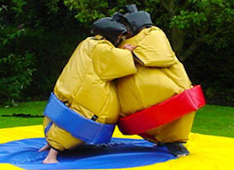 two bucks having a sumo suit fight