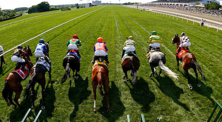 horses on the race track