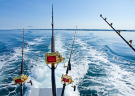 deep sea fishing rods off the back of a fishing boat