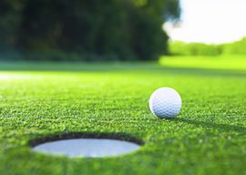 group of bucks playing golf