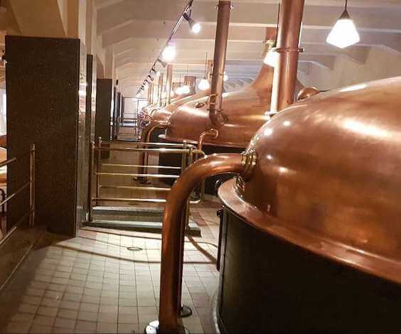 melbourne bucks craft brewery tour