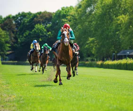 race day bucks party