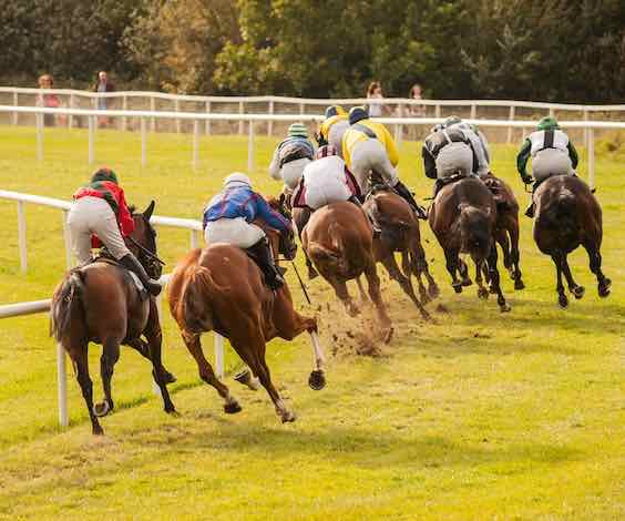 bucks group at the races