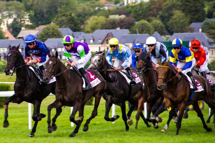 jockeys race their horses in a horse race