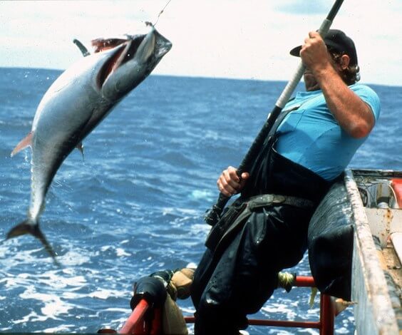 buck catching fish on deep sea fishing trip hobart