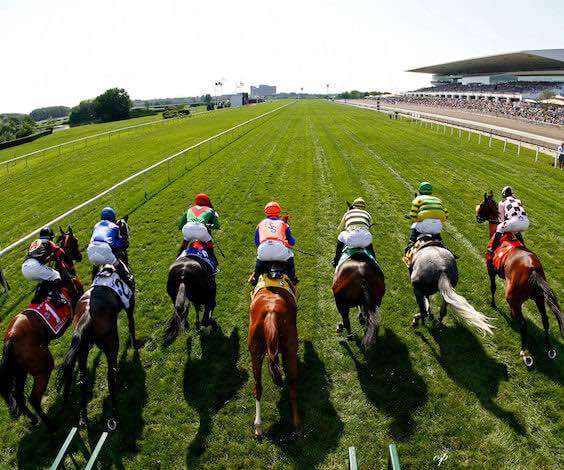 group of bucks at race track