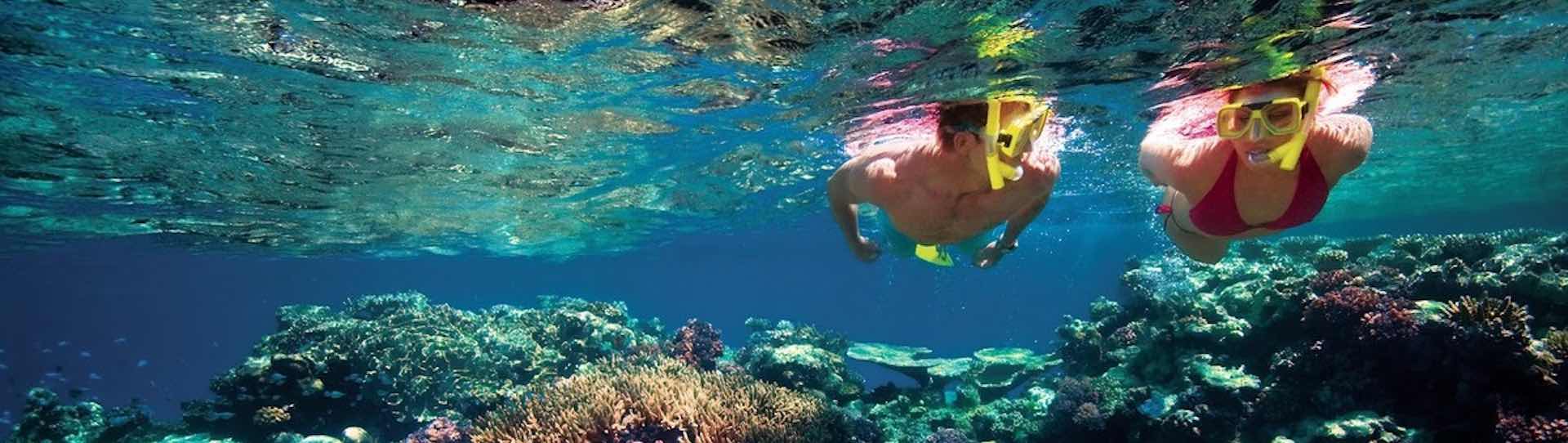 ? Snorkelling Airlie Beach Snorkel Bucks Packages