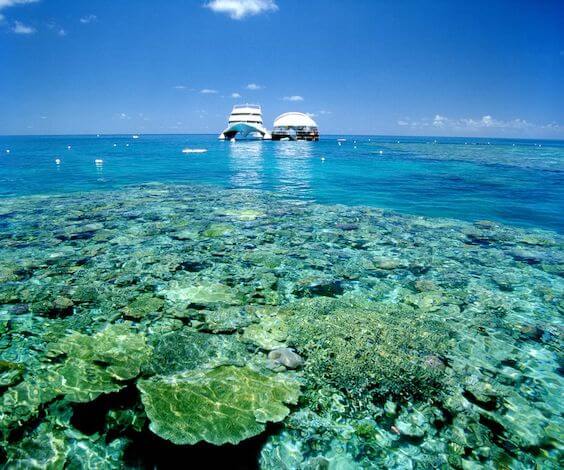 snorkeling airlie beach bucks activity