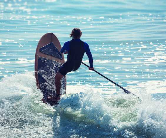 buck stand up paddle boarding at beach