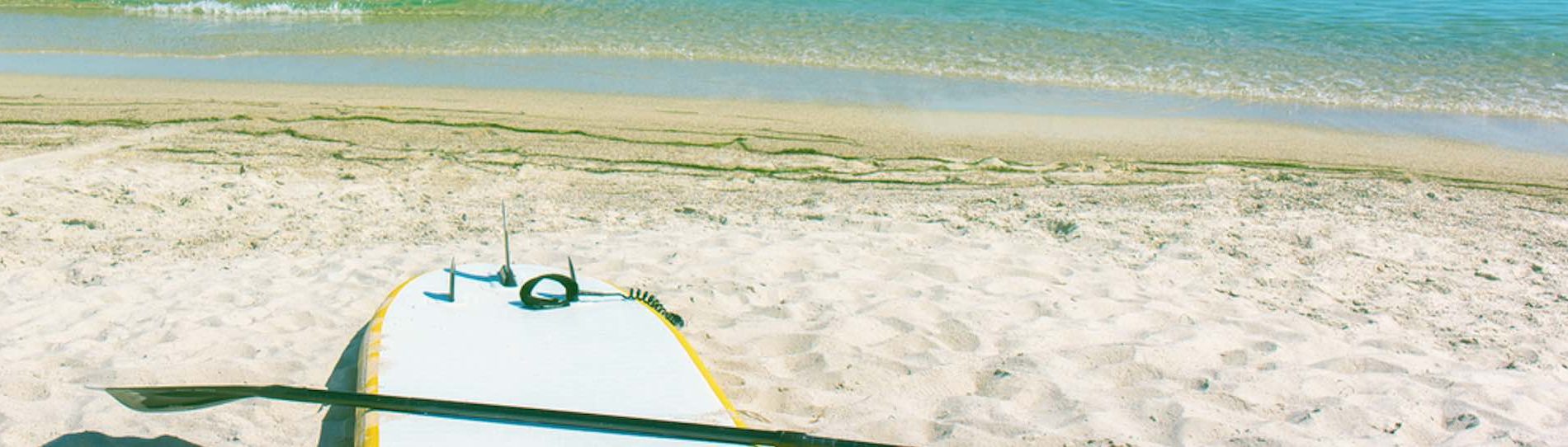 stand up paddle board on beach