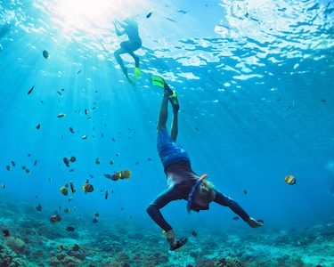 buck snorkelling at ailrie beach