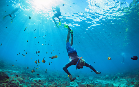 buck snorkelling at ailrie beach