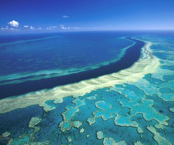 great barrier reef trip aerial view