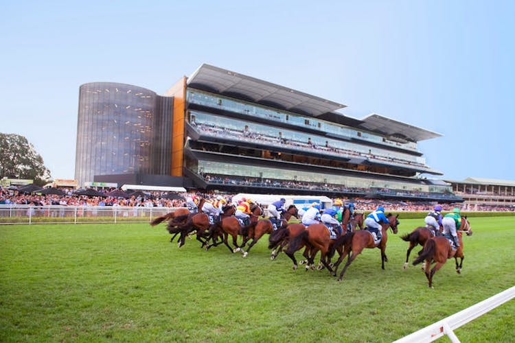 sydney race day 