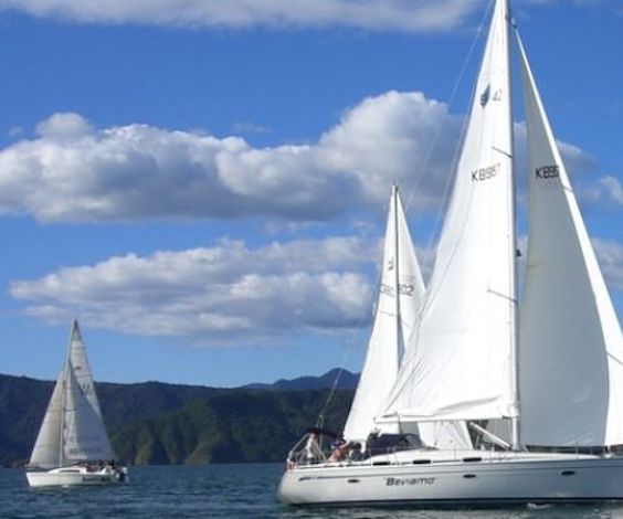 bucks group on sailing charter