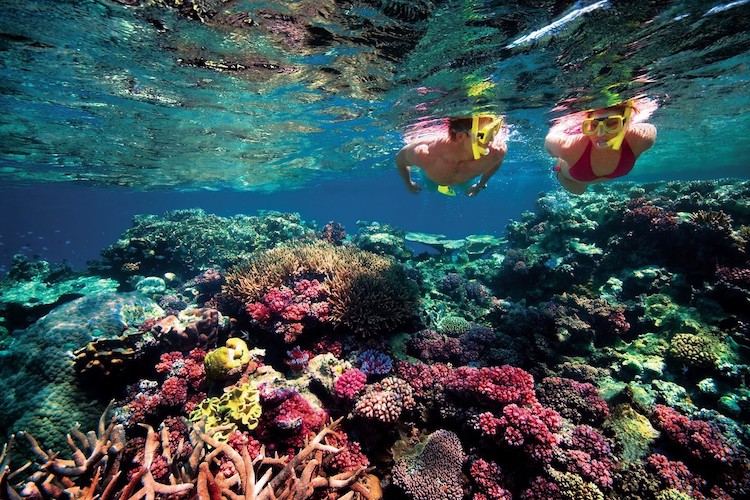 great barrier reef 