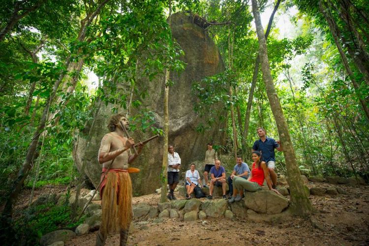 The Mossman Gorge indigenous dreamtime walk