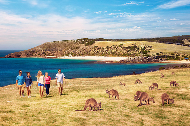 kangaroo island