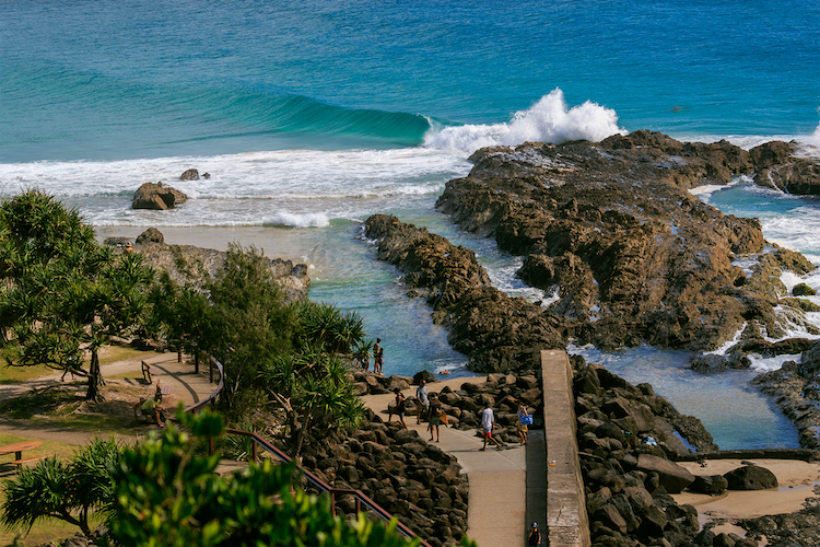 snapper rocks