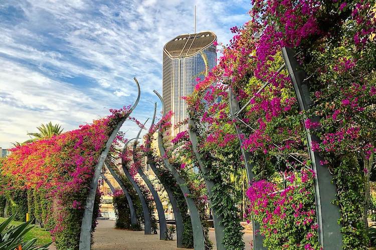 south bank brisbane