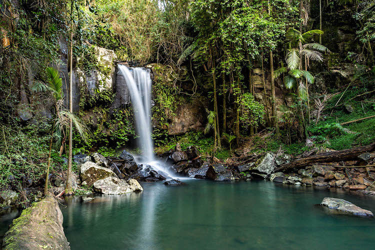 tamborine mountain 