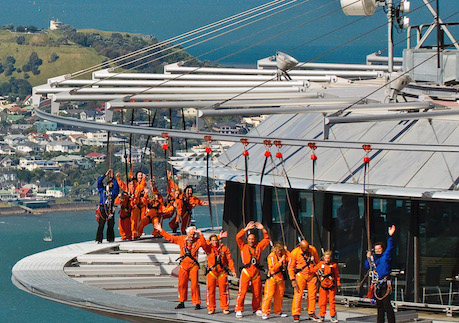 skytower skywalk auckland bucks ideas