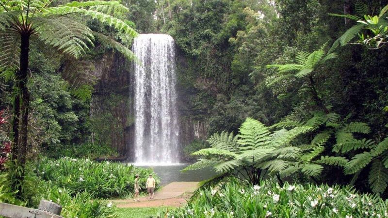 cairns atherton tablelands 