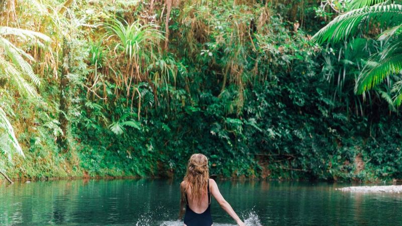 cairns daintree rainforests