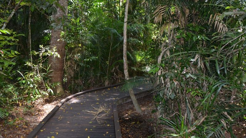 cairns walking tracks top attractions 