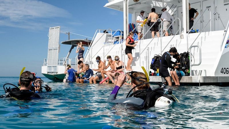 cairns great barrier reef boat tours