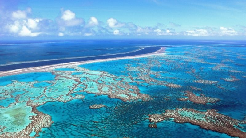 cairns great barrier reef