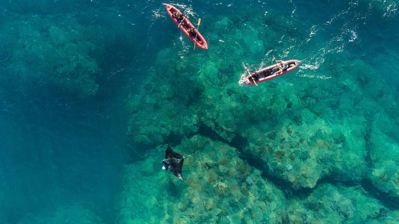 cairns kayak tours great barrier reef