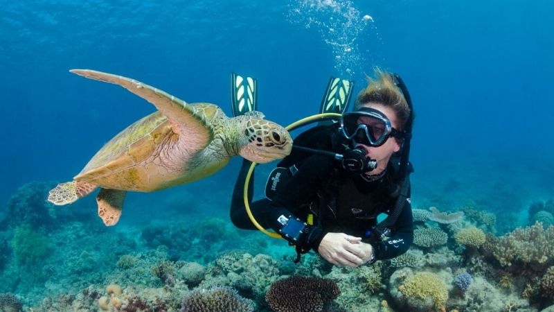 cairns great barrier reef scuba tours