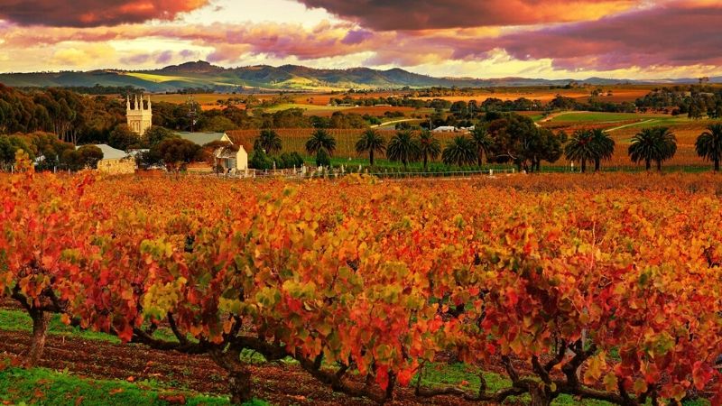 barossa valley adelaide