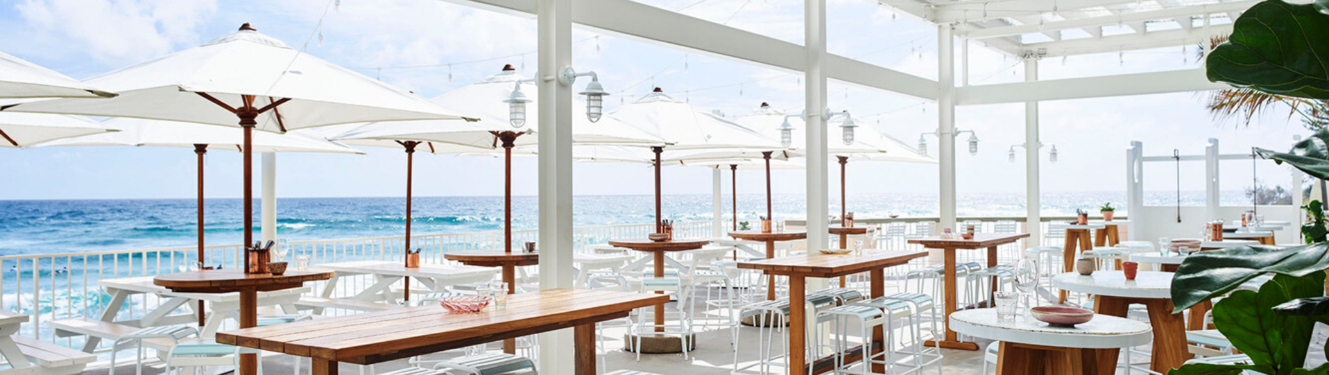 🦌 Roof Top Bars Gold Coast Wicked Bucks