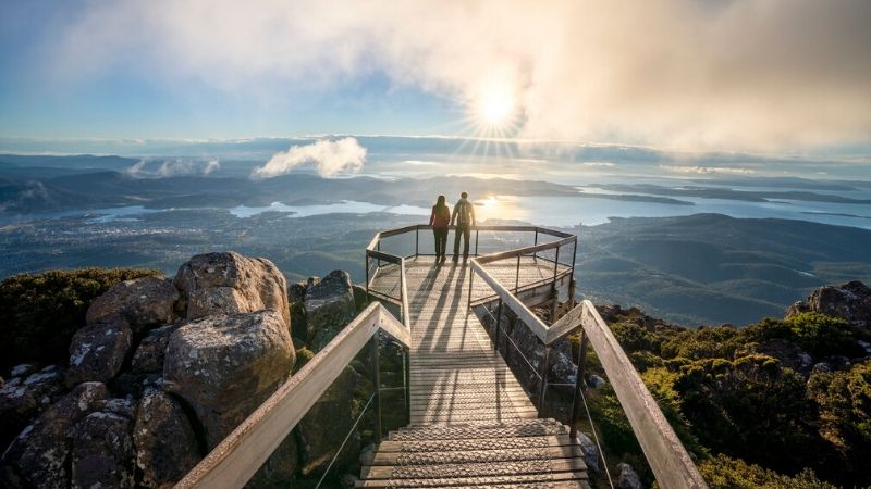 top things to do in hobart see the nature wicked bucks