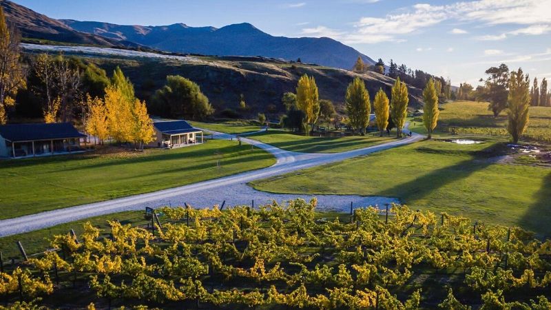 top things to do in queenstown wineries 